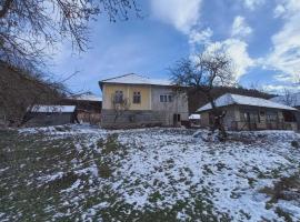 Apartmani Deda Zarkova Vodenica – hotel w mieście Ćuštica