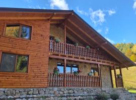 Cabana Luciana, hotel din Dămuc