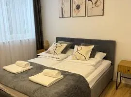 Mickiewicz House Apartamenty