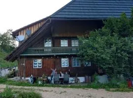 Ferienwohnung am Belchen