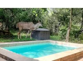 Ngwenya Villas at Mamba