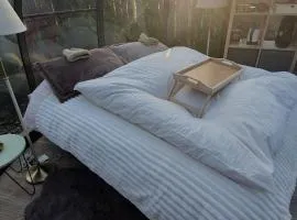 Le Dôme des Molieres