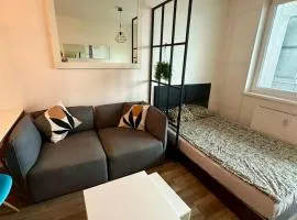 Terrace apartment near centre, parking, river park