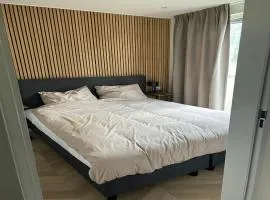 Forest Luxury Escape in Brabant