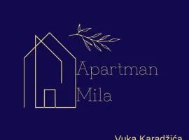 Apartman Mila Prnjavor