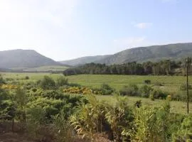 Mobile home pour un sejour unique en pleine nature au milieu des Corbieres