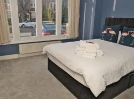 Comfortable House in Ealing, Free Parking, High-Speed WiFi