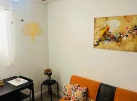NEW PRIVATE STUDIO MAGIC CITY OF MIAMI, GATED PARKING
