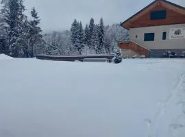 Burgbichl Apartments