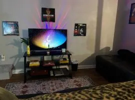 Boston Edison Cozy Gallery Studio