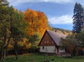Chata Wilczka, hotel in Miedzygorze