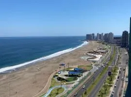 Departamento frente al Parque Playa Brava 22