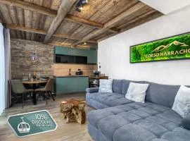 Mountain Apartment No 209-CORSO Harrachov, High Speed WI-FI, Ambilight smart TV, Netflix, YouTube, FREE parking, PRIVATE ski storage, "Ski-in Ski-out", HARRACHOVCARD