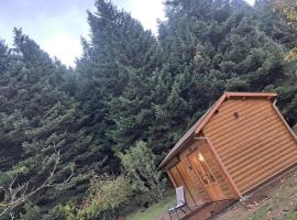 Wood Cabin by the River - for Nature Lovers, hotel i Vitina