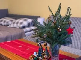 Apartament Salamandra Uno