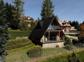 Merynos - dom w stylu alpejskim na wyłączność