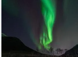 Kroken3 the apartment