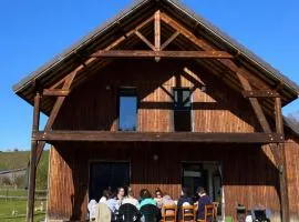 Maison lumineuse type chalet, au pied des pyrénées, jusqu'à 10 personnes