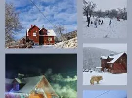 Pensiunea Cabana Viselor ,Apuseni