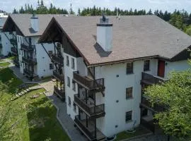 Whistlepunk #11: 2 Bedroom, 2 Bath: Wood fireplaceCentral Location