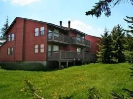 Tree Top 27 Mountaineer 3 Br Condo Slope Side