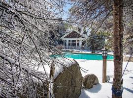 Ski In/Out! 1 Bed 1 Bath Slope Views Allegheny Springs 238, Hotel in Snowshoe