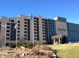 Silver Creek 1104 Studio Sleeps 3, Slope Side, Hotel in Snowshoe