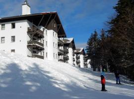 Whistlepunk 45- Modern comfort with Mountain Charm-1 bedroom, Hotel in Snowshoe
