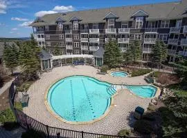 Allegheny Springs 201 : 2 Bedroom, 2 Full Bath: Slope Side; Gas Fireplace