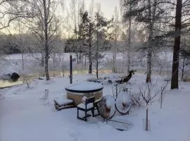 Chez-Nous Äänekoski, Sauna, Jacuzzi, ice skating, ice fishing, fishing, boat, horse riding