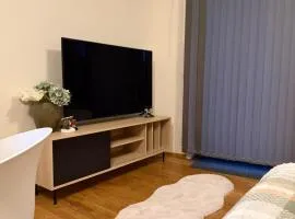 Modern apartment near Oslo