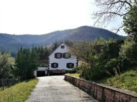Gîte des abeilles du Kohlberg, hotel i Wangenbourg