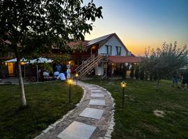 D&D Panoramic Bălnaca, hotel u gradu Bălnaca