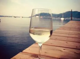 Exklusives Ferienhaus mit privatem Badeplatz am Attersee