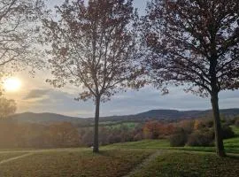 Ferienwohnung Documenta Urbana