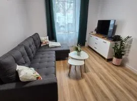 Apartament w Rynku