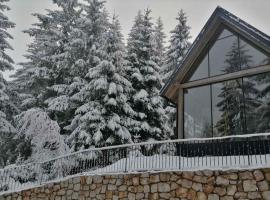 ZlatAir Twins 2, hotel in Nova Varoš