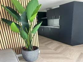 Eco Forest Home near Baarle-Nassau