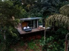 Birds Eye Estate- Mirror House