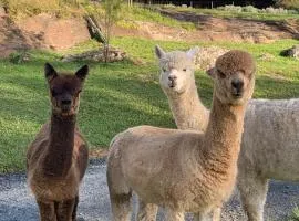 Wollombi Country House and Gardens
