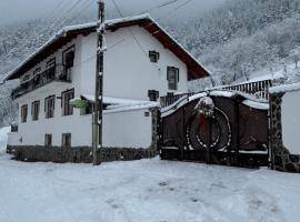 Pensiunea Hanzu Darius, hotel in Gura Rîului