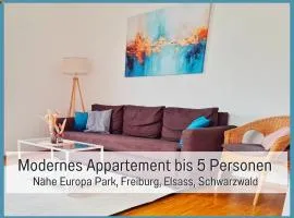 Modern apartment, close to Europa Park, Alsace, Black Forest