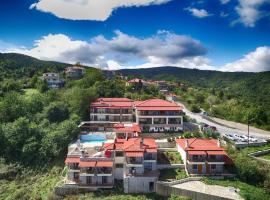 Nevros Hotel Resort and Spa Limni Plastira, hotel a Neochori