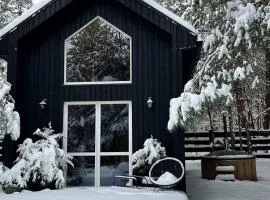 Domki Wśród Boru Sosnowego, Śródborze