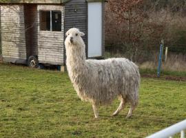 Belle's Belle-Vue, Hotel in Thakeham