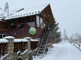 Guesthouse Karpaty, hotel v mestu Yasinya