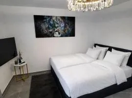 Exklusive Moderne Wohnung Hanau