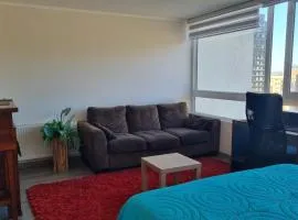 Hermoso depto Con vista al Parque Ecuador