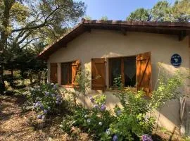 Maisonnette 3 chambres proche Océan - Animaux admis - FR-1-379-145