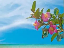 Blue Flamingo villa Nissi beach front